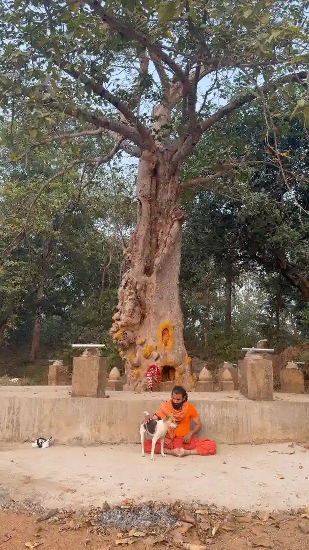 Yatra 2026