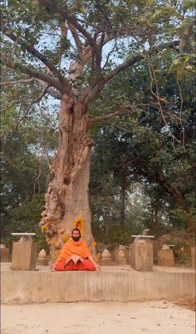Yatra 2026