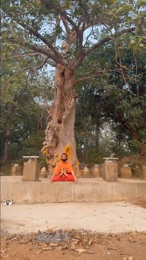 Yatra 2026
